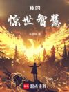 我的惊世智慧